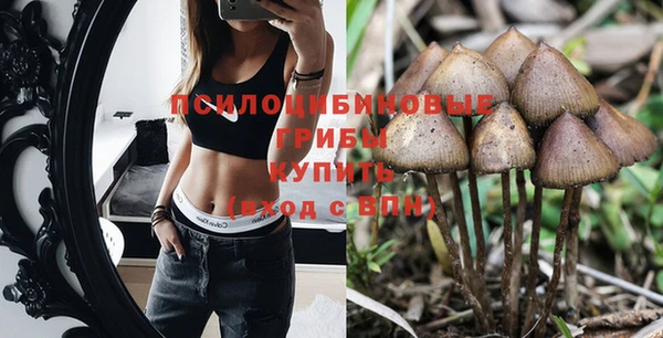 стафф Вязники