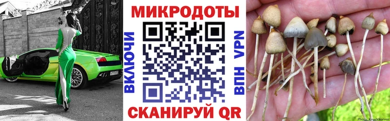Псилоцибиновые грибы Psilocybe  купить наркотики цена  Горбатов 